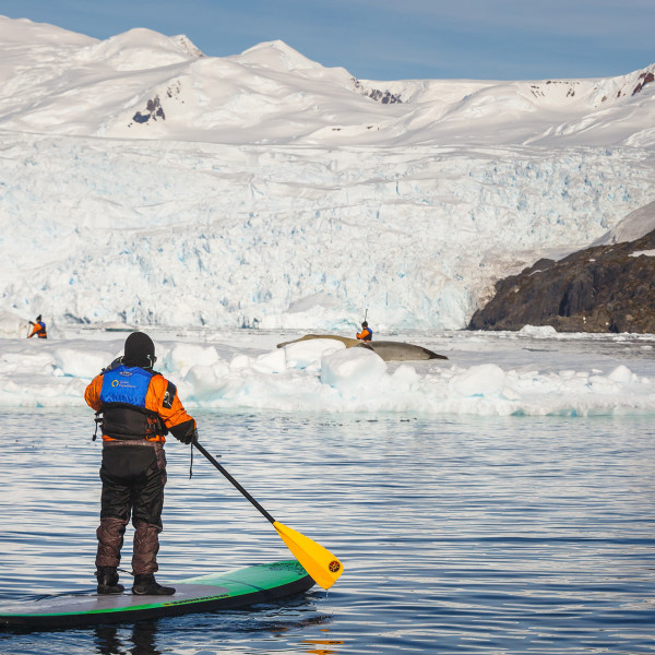 Passengers Stand-up Paddleboarding in the Antarctic