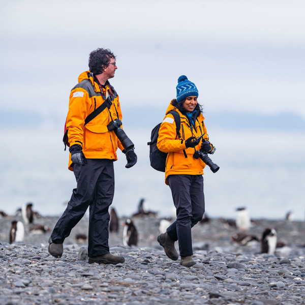Two passengers hiking amongst penguins