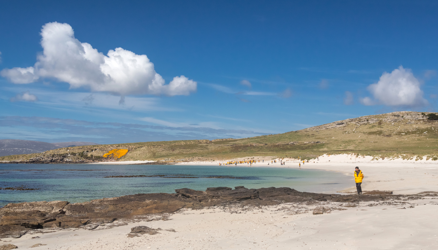 福克兰群岛(Falkland Islands)