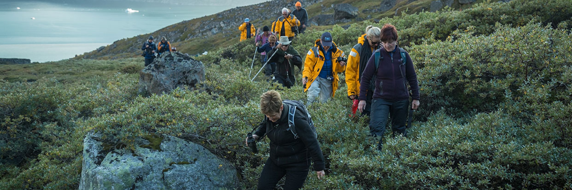 Greenland Adventure: Explore by Sea, Land and Air