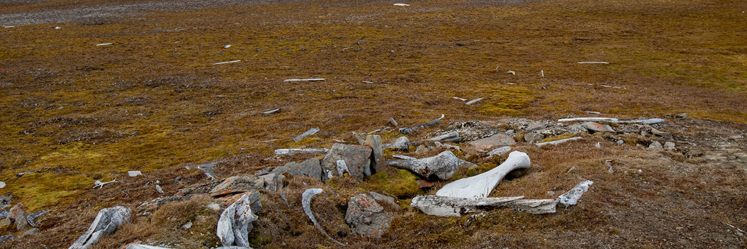 Radstock Bay, Nunavut - Photo by Michelle Sole