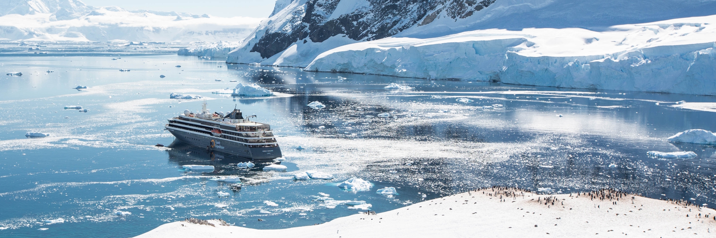 World Explorer at Neko Harbour, Antarctic Peninsula. 