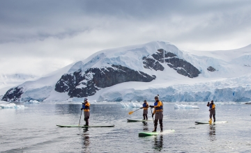 Passengers Stand-up Paddleboarding in the Antarctic