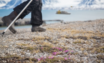 Hiking in Svalbard